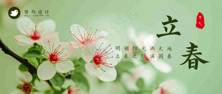 立春公众号首图