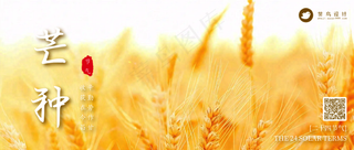 芒种公众号首图