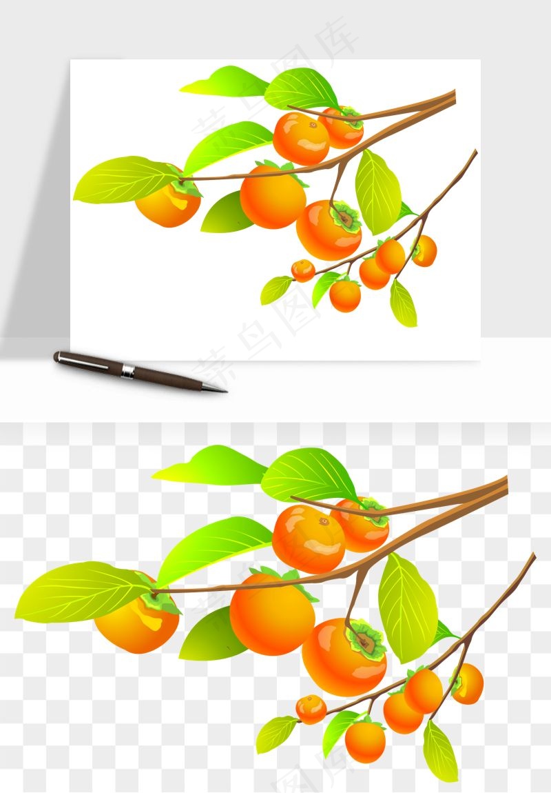 手绘柿子树秋png免抠