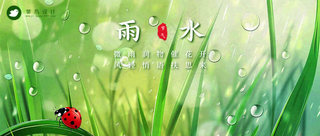 雨水公众号首图