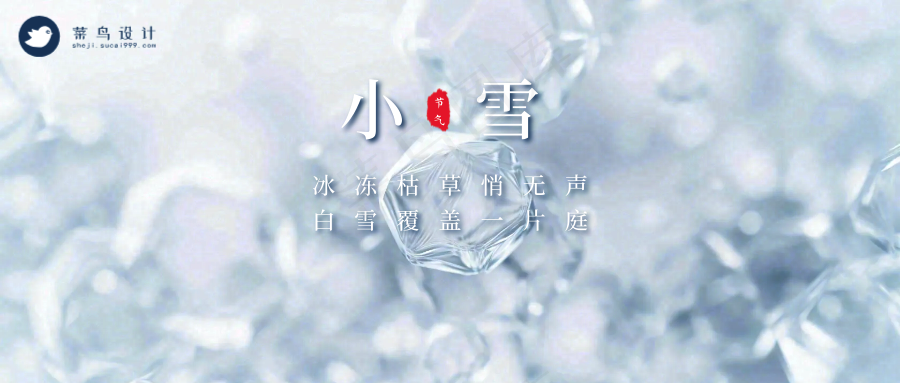 小雪公众号首图