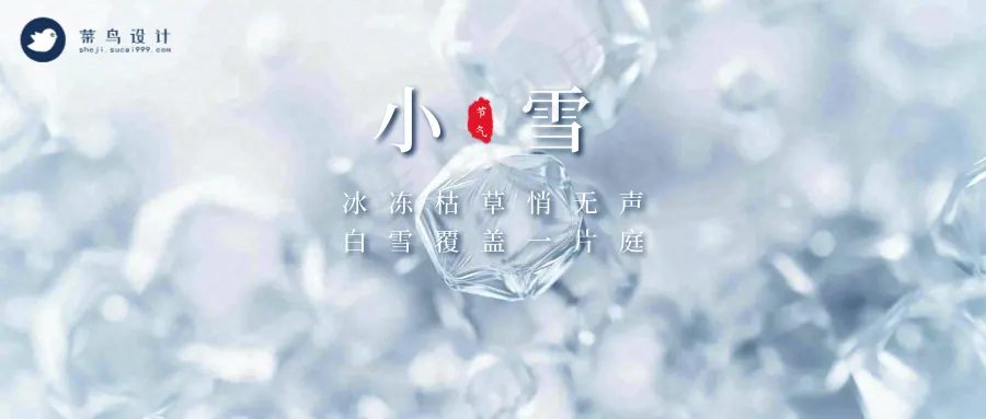 小雪公众号首图