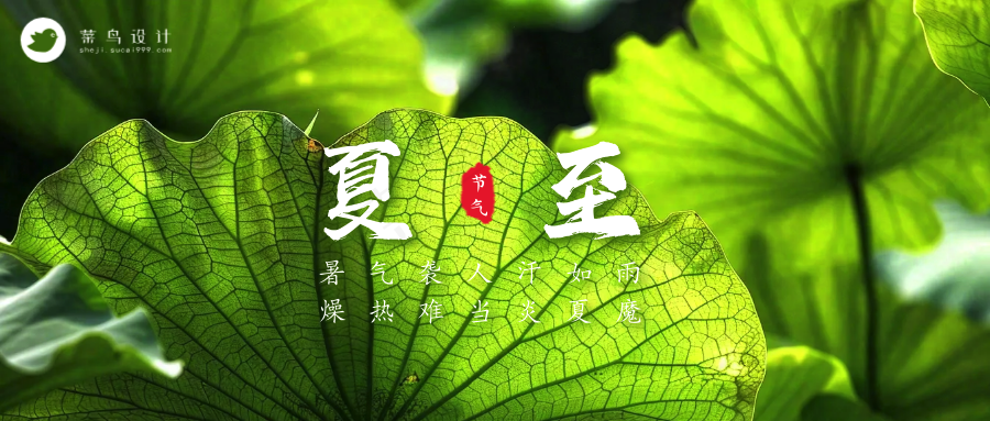 夏至公众号首图