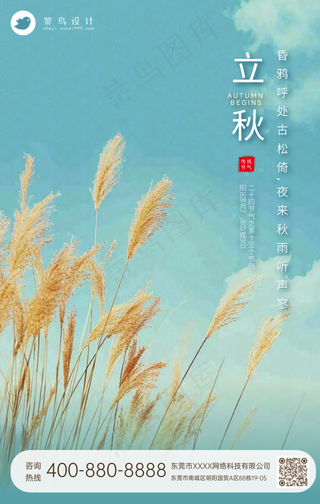 立秋手机海报