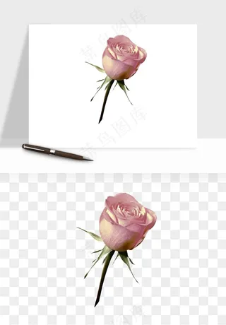 复古鲜花玫瑰png免抠