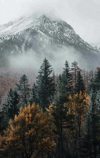 秋天森林山脉清晨起雾大自然风光寒露摄影图