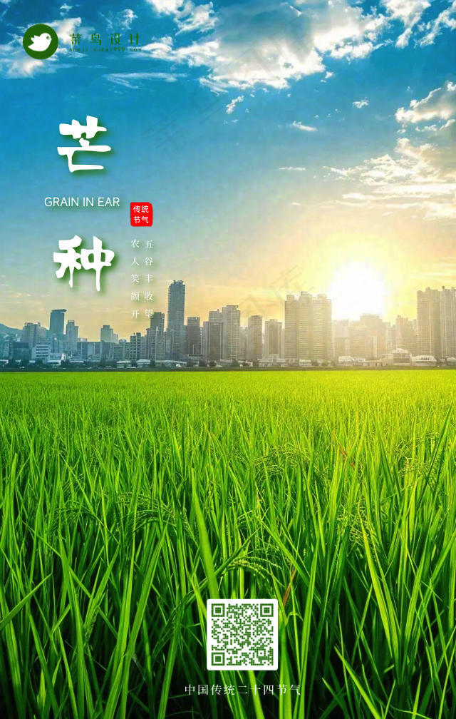 芒种手机海报