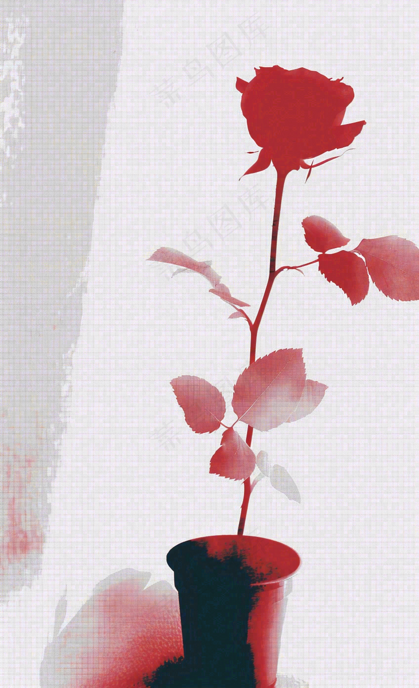 白色情人节