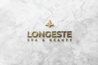 23金属Logo标志样机徽标设计展示效果图模板