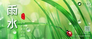 雨水公众号首图