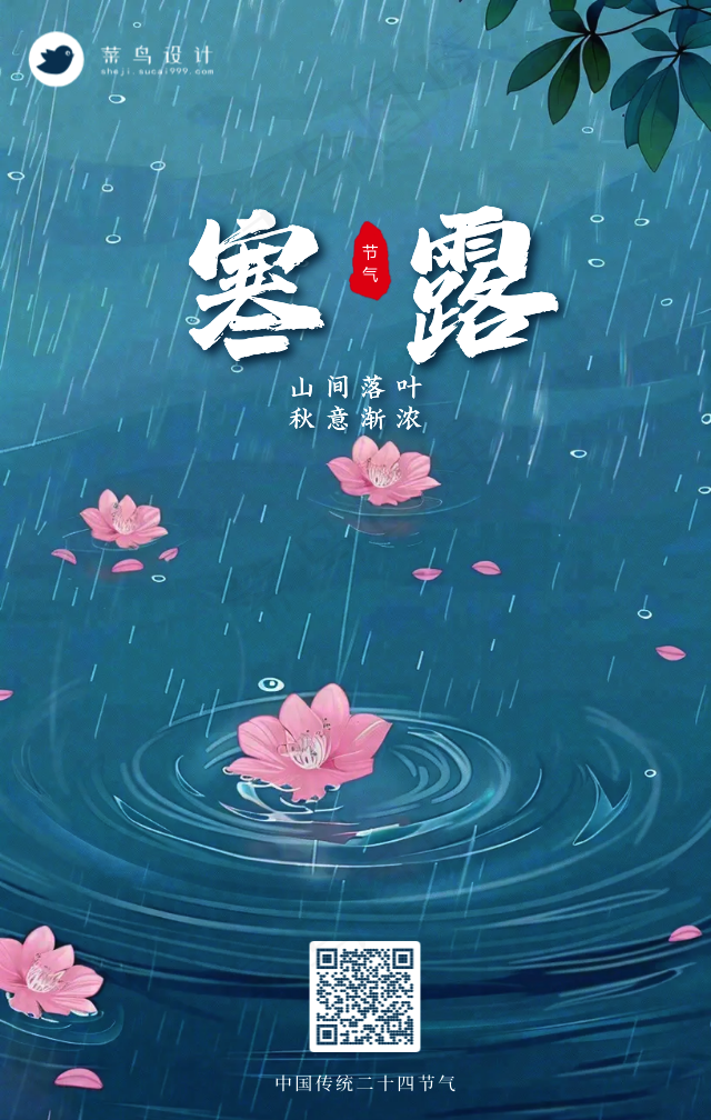 寒露手机海报