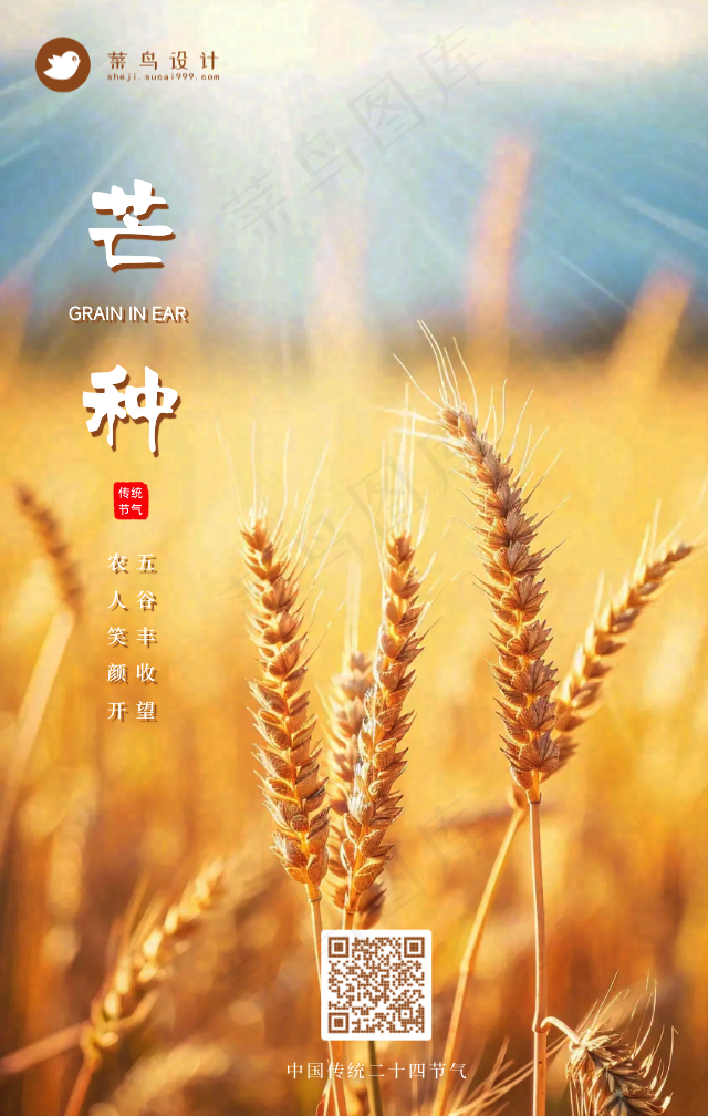 芒种手机海报