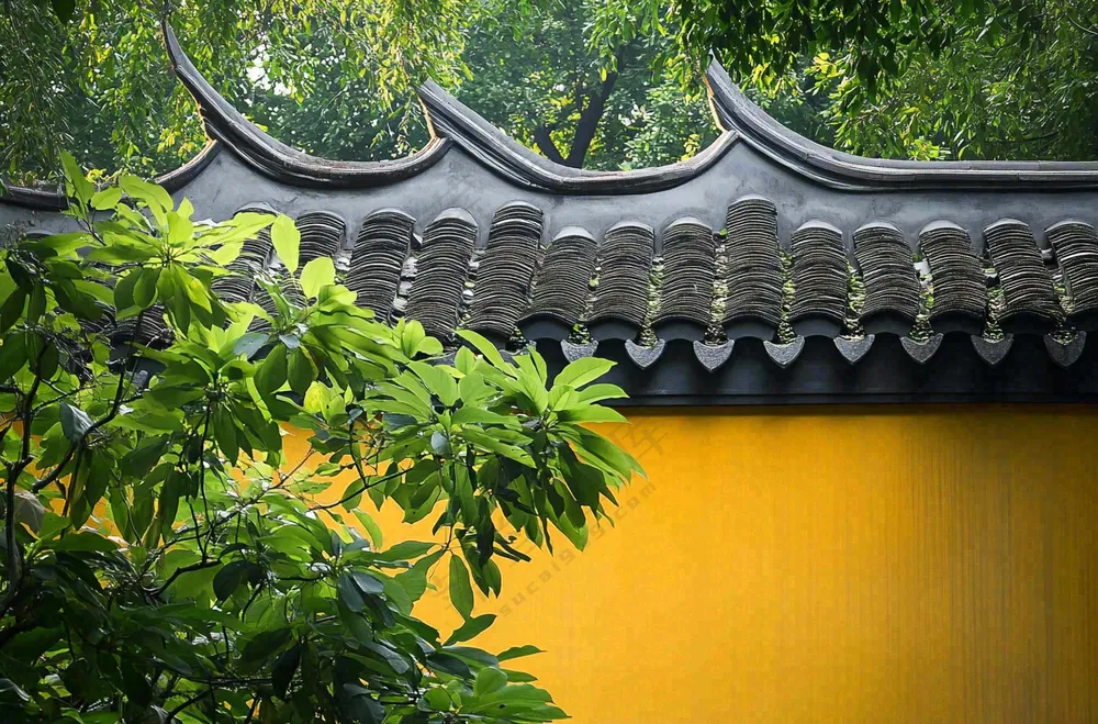 中式庭院屋檐绿植环境摄影图