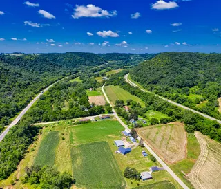 翠绿的田园风光