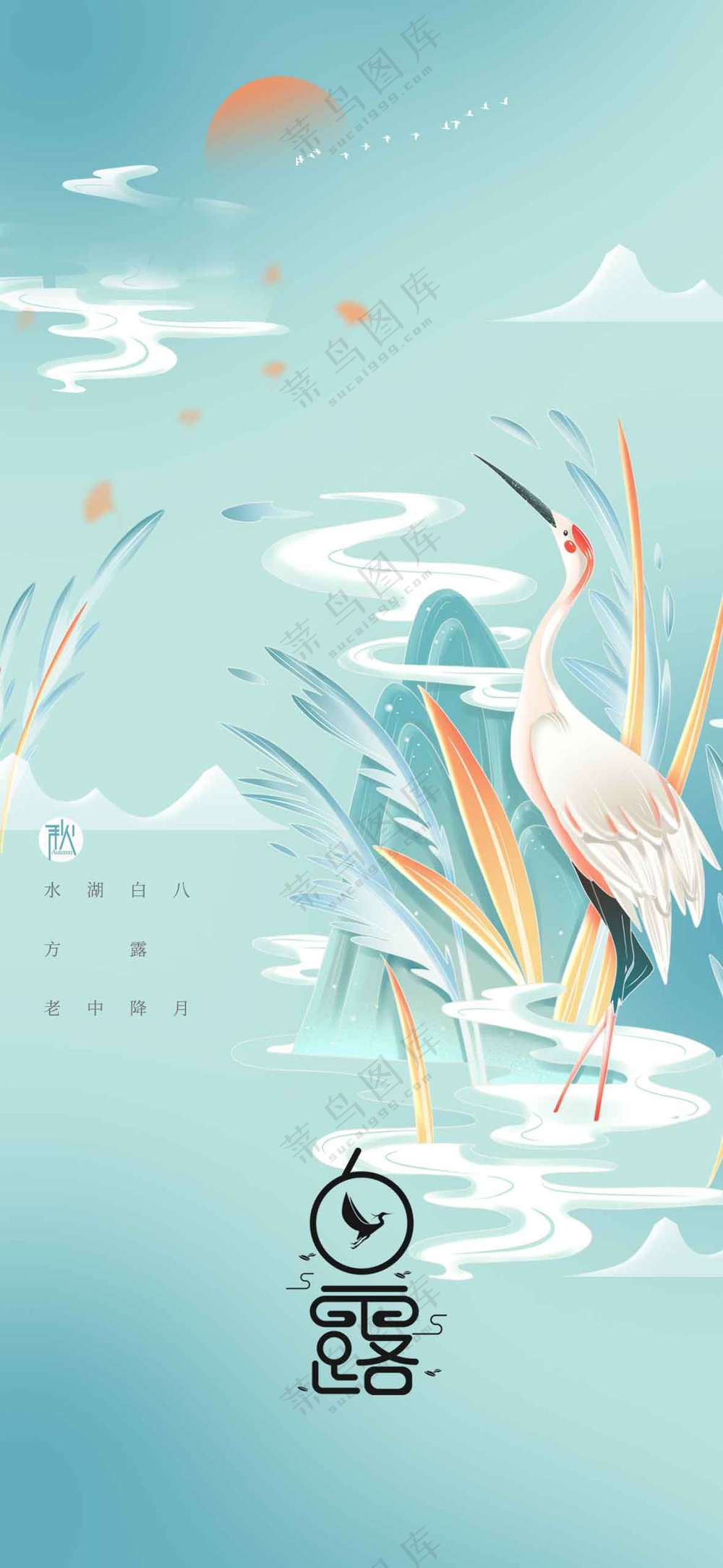 白露节气传统活动海报