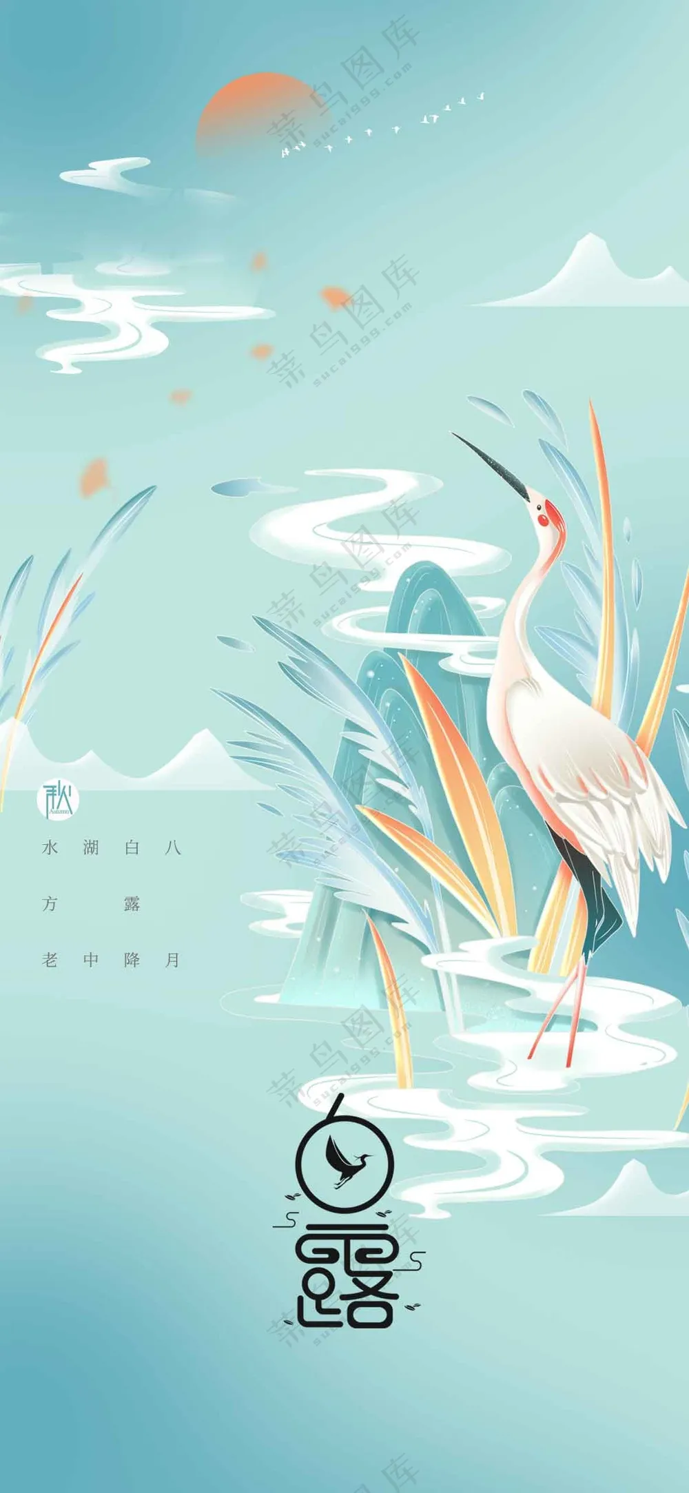 白露节气传统活动海报