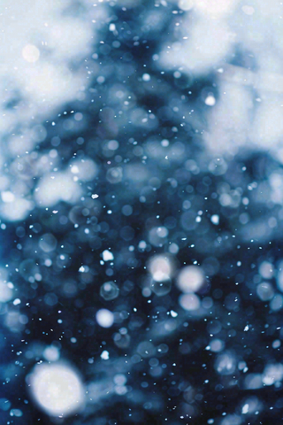 冬季下雪天寒冷树林松树小雪大雪小寒摄影图