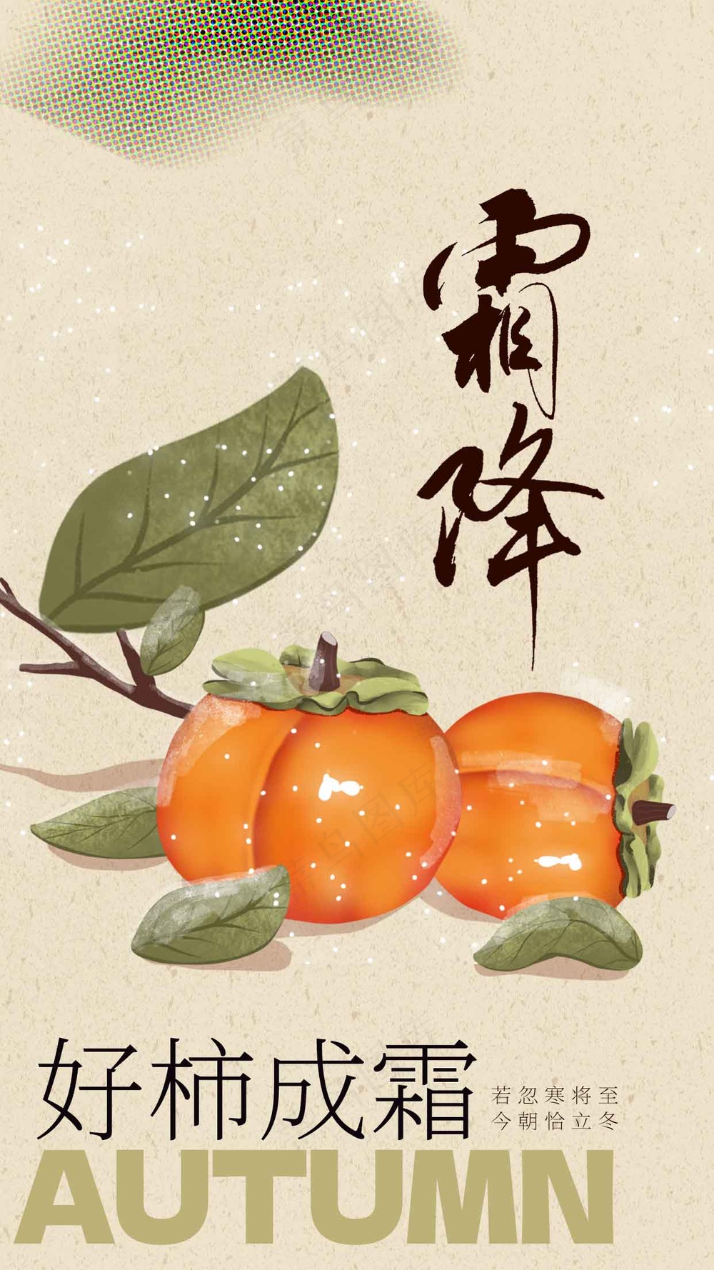 霜降节气传统海报