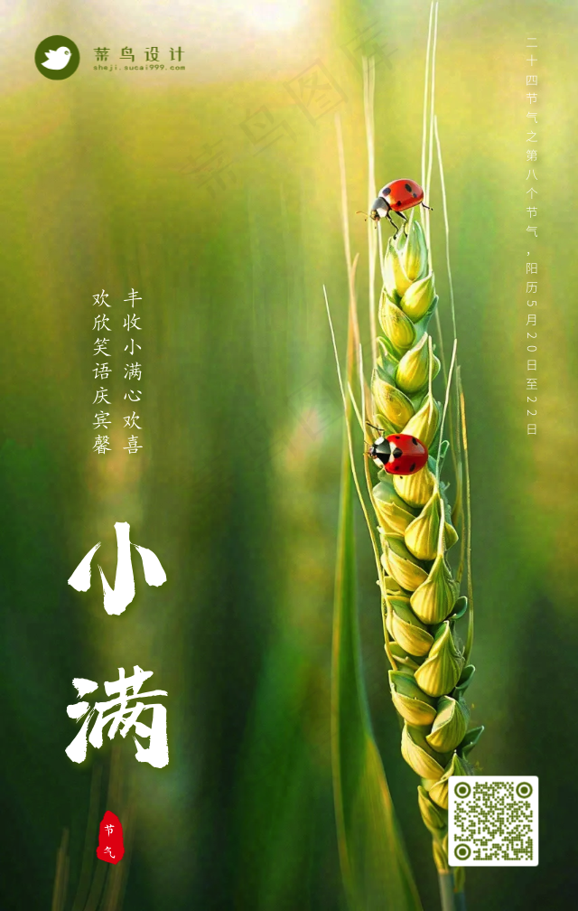 小满手机海报
