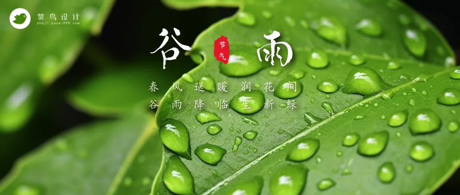 谷雨公众号首图