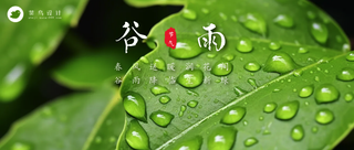 谷雨公众号首图