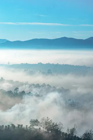 晨雾森林梦幻画卷——宁静蓝白自然壁饰