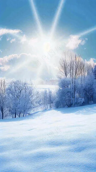 冬天东北森林白雪覆盖阳光小寒大寒大雪摄影图