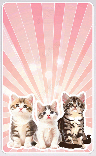 猫狗宠物店宣传卡通插画背景