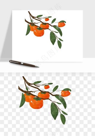 手绘柿子树秋png免抠