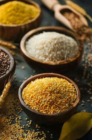 世界粮食日谷物米饭稻谷小麦摄影图