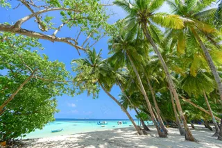 碧海蓝天下的热带风情