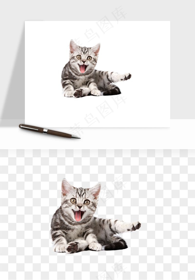 猫咪喵星人狗狗宠物元素png免抠