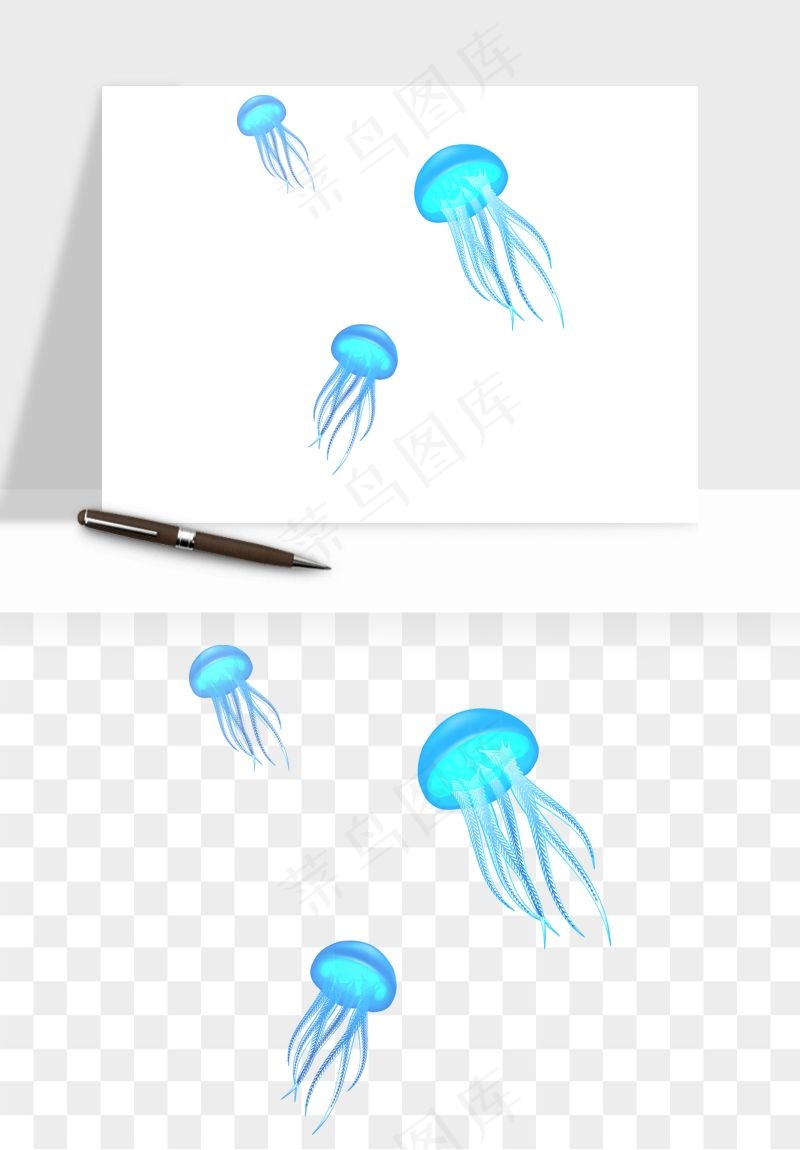 水母章鱼海底生物png免抠图