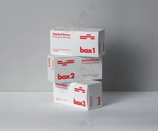 长方形包装盒  平面vi提案样机