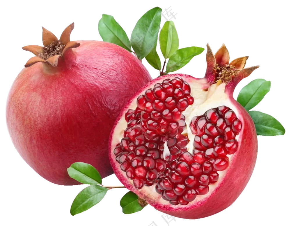 石榴免抠元素