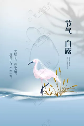 白露节气传统活动海报