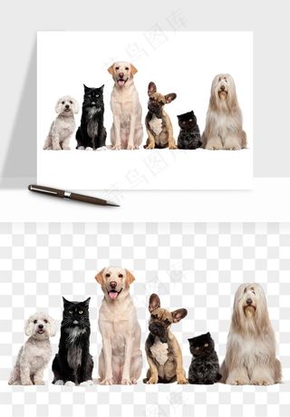 猫咪喵星人狗狗宠物元素png免抠