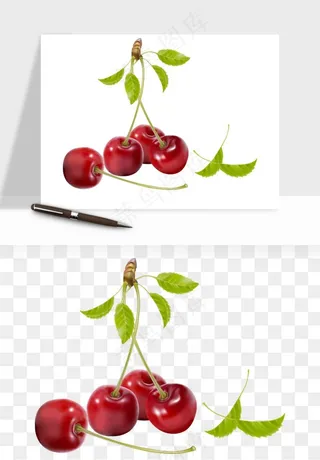 樱桃车厘子水果png免抠