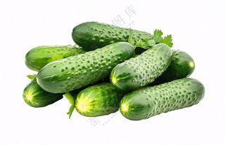 青瓜黄瓜蔬菜免抠