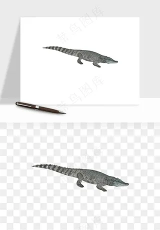 鳄鱼动物png免抠