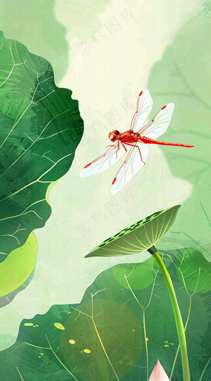 夏天荷花荷叶清凉小清新淡雅立夏夏至暑插画背景