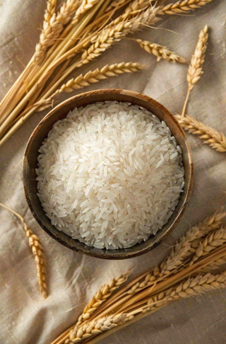 世界粮食日谷物米饭稻谷小麦摄影图