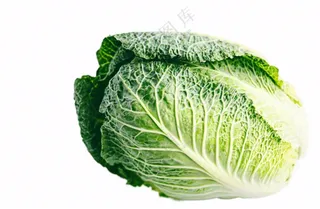 青菜蔬菜包菜免抠