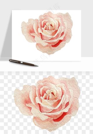 水彩复古花卉png免抠