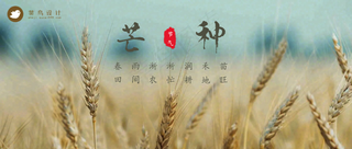 芒种公众号首图