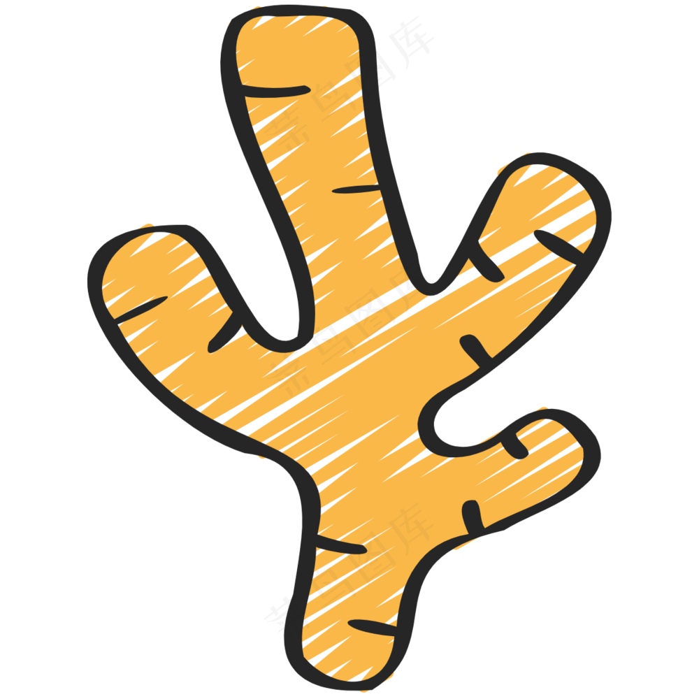 生姜 ginger 绿色健康食品 铅笔手绘图标icon