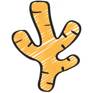 生姜 ginger 绿色健康食品 铅笔手绘图标icon