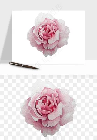 水彩复古花卉png免抠