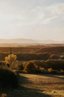 黄昏田野的静谧时光