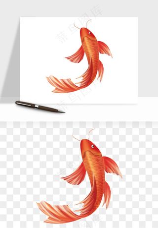 锦鲤鱼手绘水墨png免抠